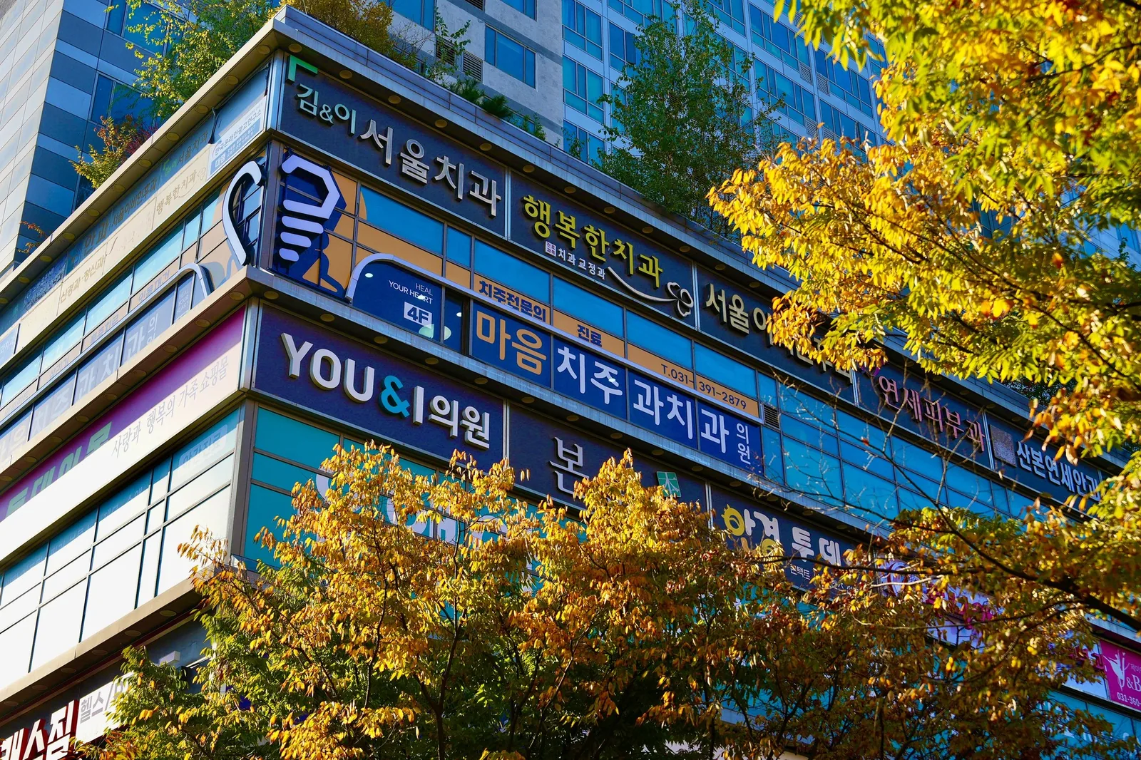 마음치주과치과가 있는 건물 외관 사인