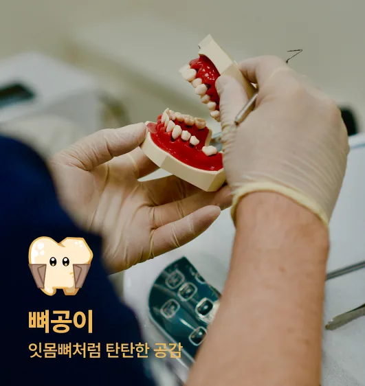 뼈공이 — 잇몸뼈처럼 탄탄한 공감